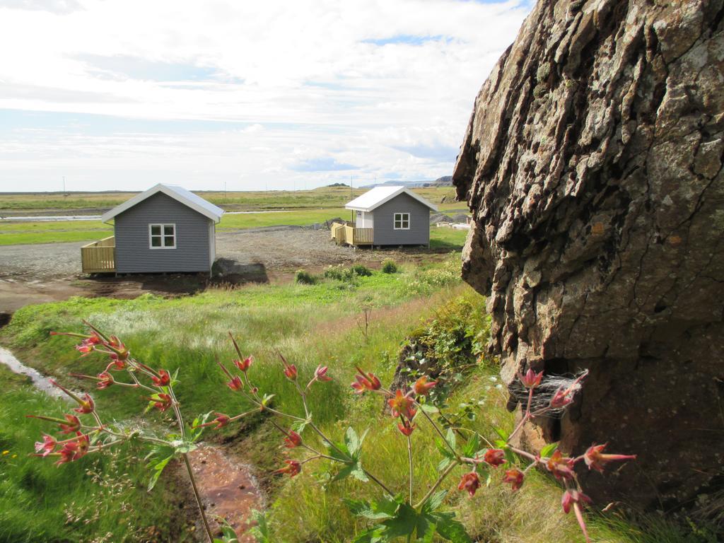 Laekjaborgir Guesthouse Kálfafell エクステリア 写真